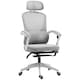 image 1 of HOMCOM Ergonomic Office Chair, Mesh High Back Desk Chair with Adjustable Lumbar Support and Headrest, Footrest, Reclining Executive Swivel Computer Chair for Home Study, Grey | Grey