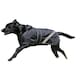 image 2 of Firefoot 2 in 1 Waterproof Reflective Dog Coat - Black - 51cm