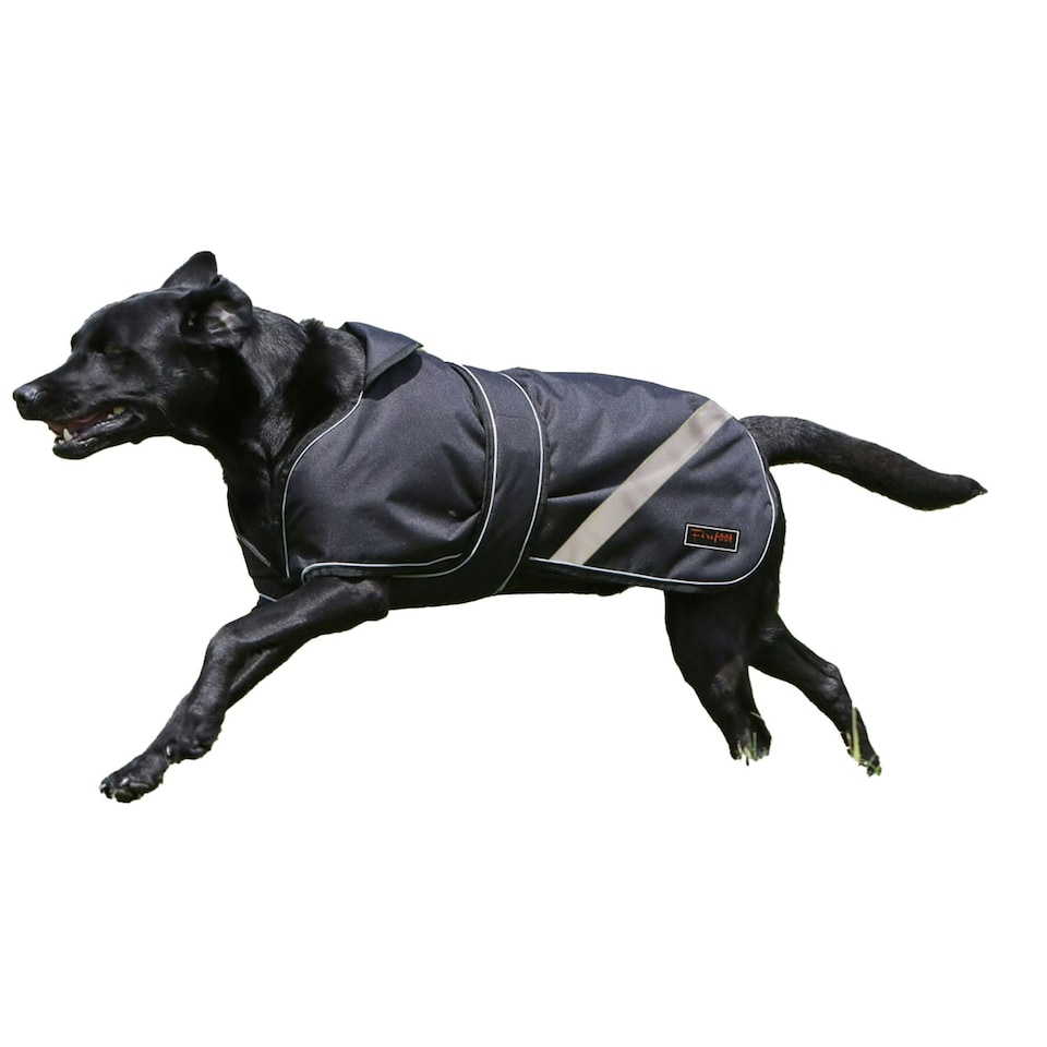 image 1 of Firefoot 2 in 1 Waterproof Reflective Dog Coat - Black - 51cm