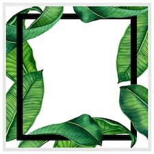 Botanical & black border (Picture Frame) White | M