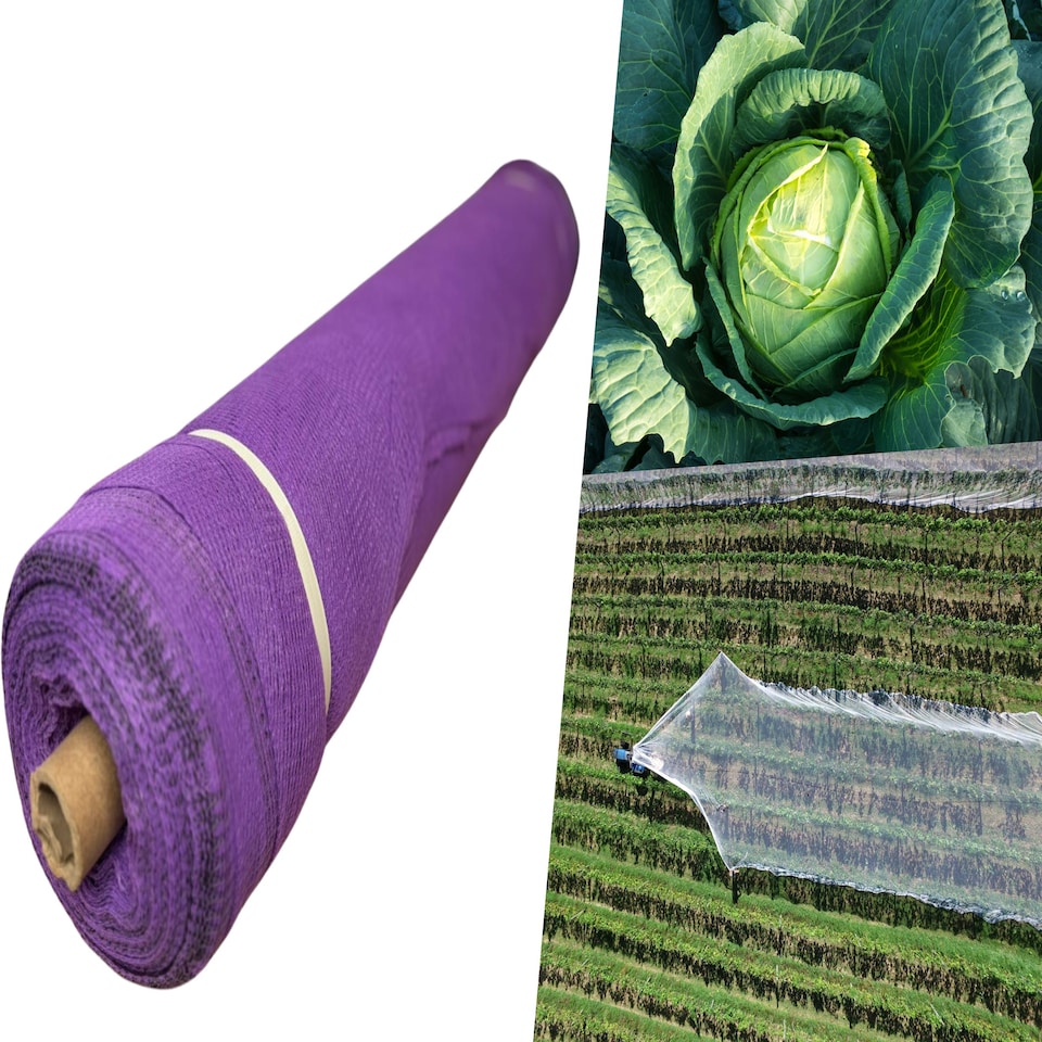 image 1 of Pegdev Purple Plant Netting 2m x 17m UV Mesh for Garden Crop Protection