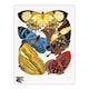 image 3 of Eugene Seguy Framed Wall Art Vintage Butterflies Yellow Red Blue Home Décor