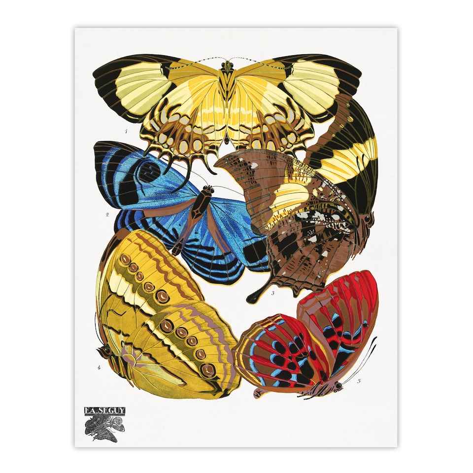 image 1 of Eugene Seguy Framed Wall Art Vintage Butterflies Yellow Red Blue Home Décor