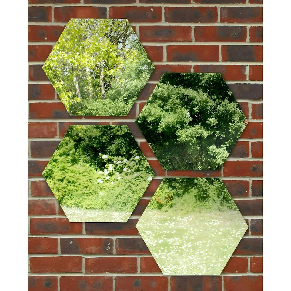 image 1 of Primrose Acrylic Wall Mounted Hexagonal Silver Garden Illusion Mirror 30cm