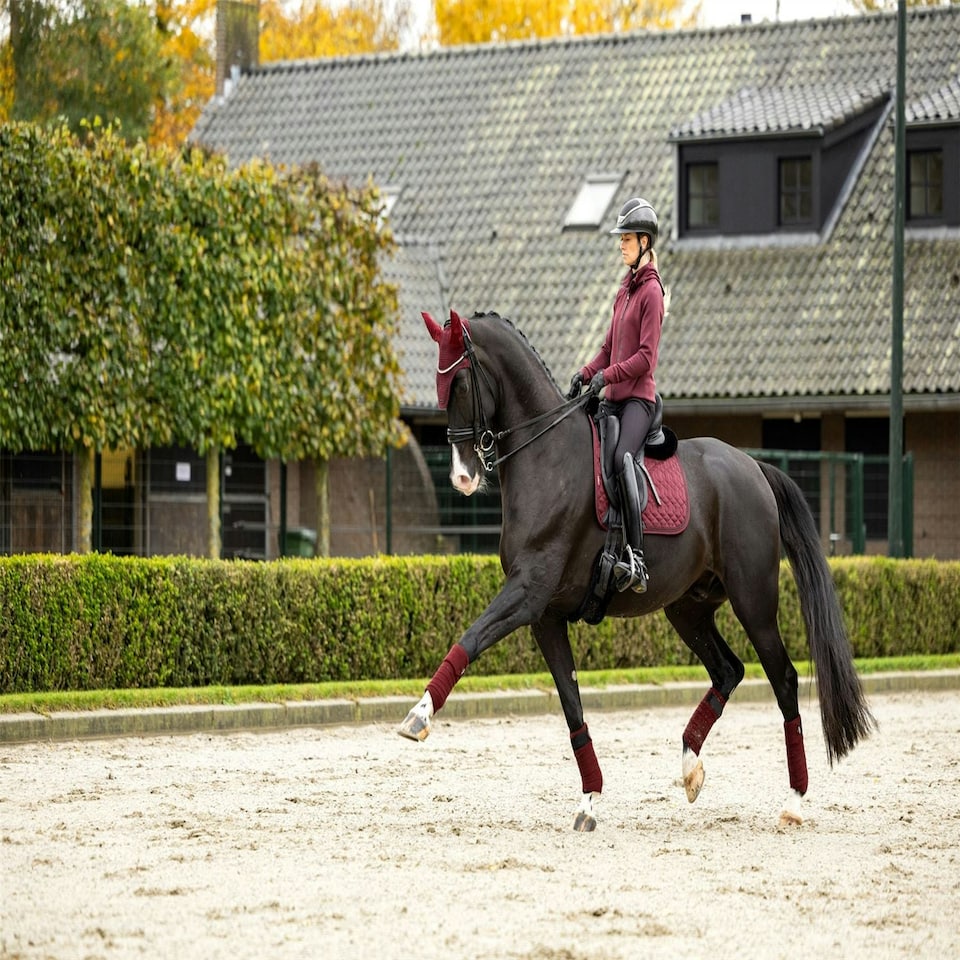image 1 of LeMieux Crystal Suede Dressage Pad Brown | Small/Medium
