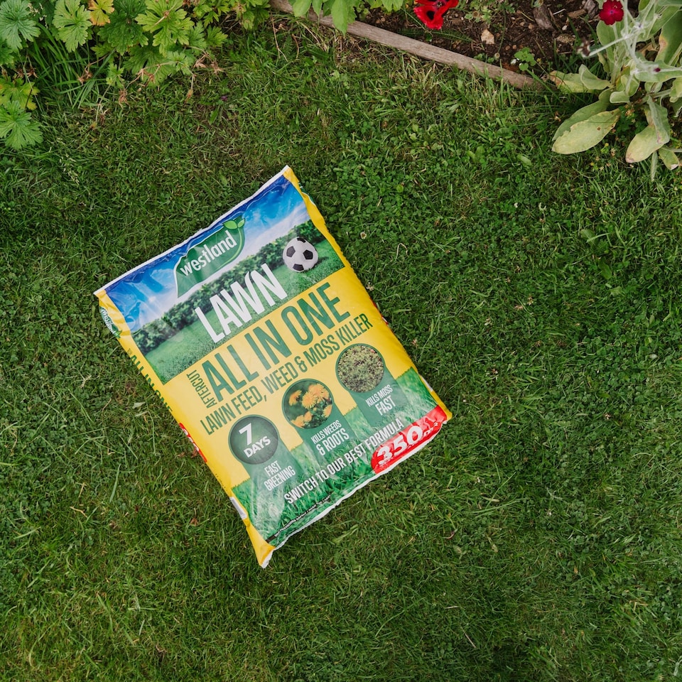 image 1 of Westland Ultimate Lawn Rescue Bundle - 80sqm bundle includes 80smq Aftercut All in One, 32 Patch Fix and 25sqm Gro Sure Smart Seed