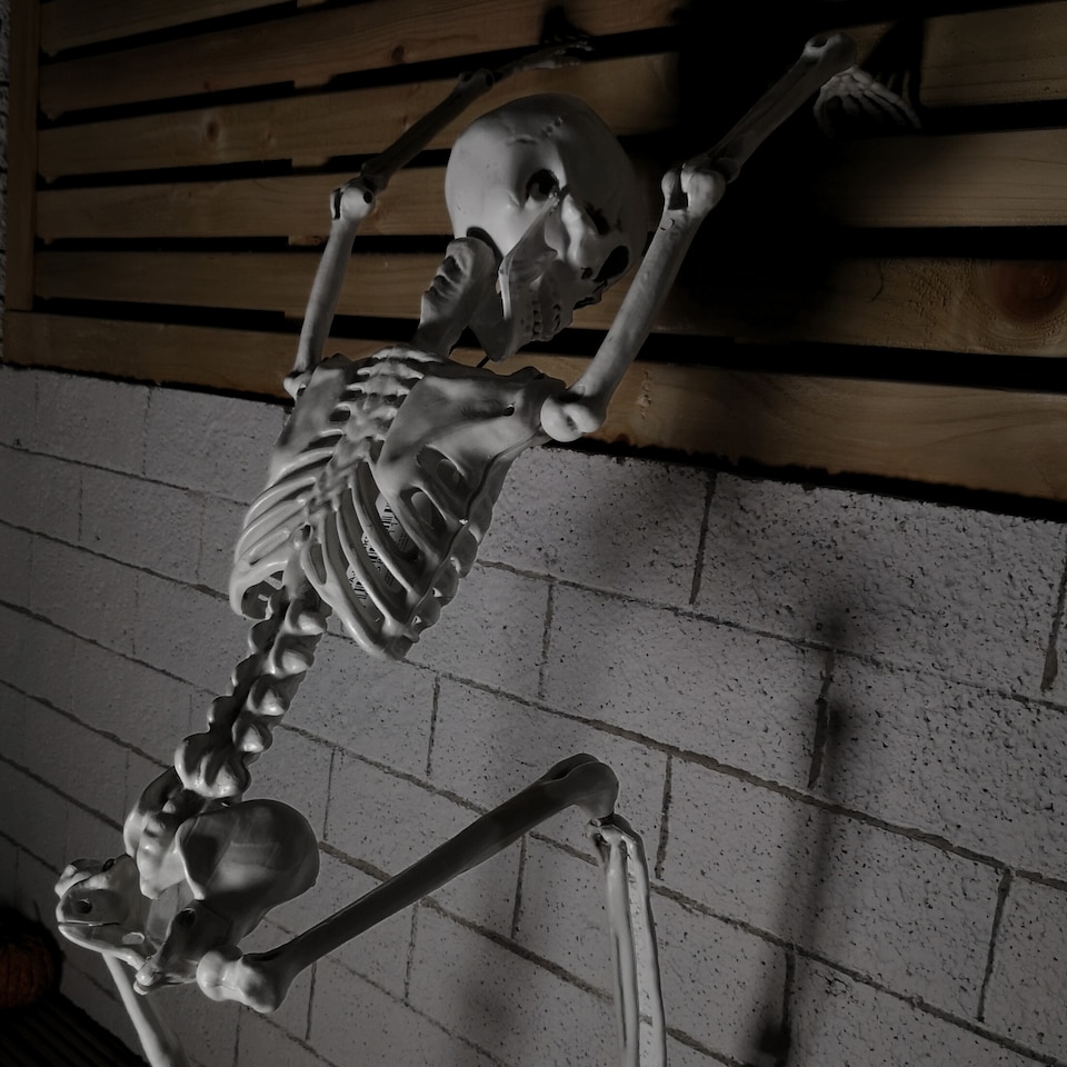 image 1 of 90cm (3ft) Posable Full Body Halloween Skeleton Decoration with Movable Joints