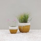 image 8 of Primrose Ribbed Textured Glazed Round Patio Planter in Two Tone Yellow 45cm