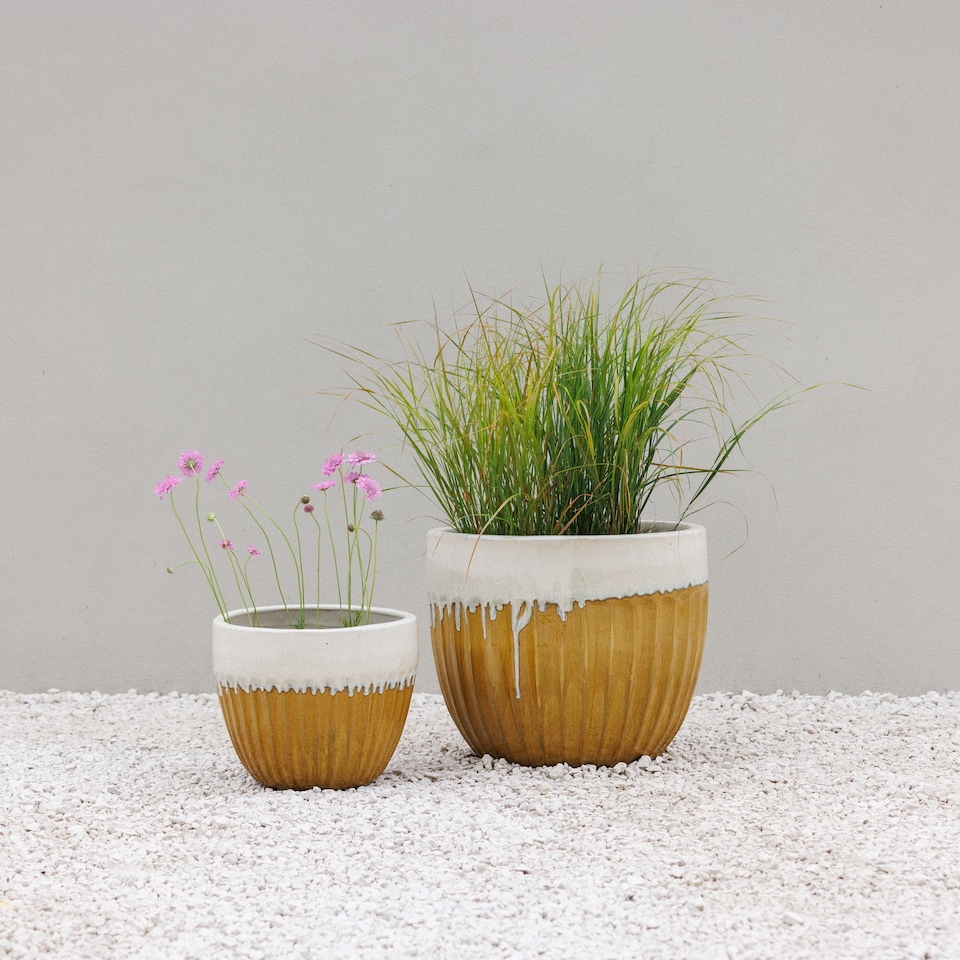 image 1 of Primrose Ribbed Textured Glazed Round Patio Planter in Two Tone Yellow 45cm