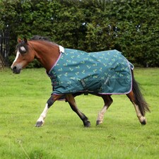 Winnie & Me 100 Turnout Rug Green | Size: 51 Inch / 4'3 Inch
Colour: Green