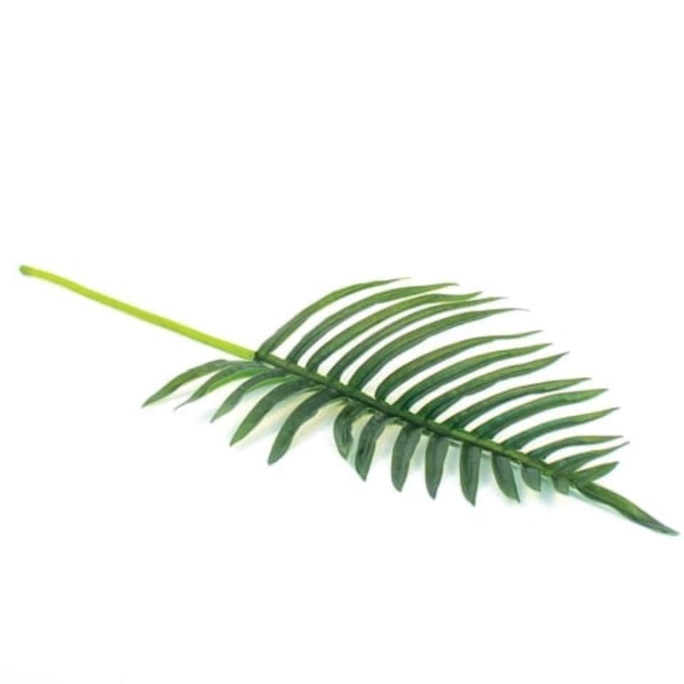 image 1 of Artificial Real Touch Fern Palm Leaf 66cm