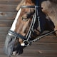 image 2 of Hy Nose Shield - Black - Pony
