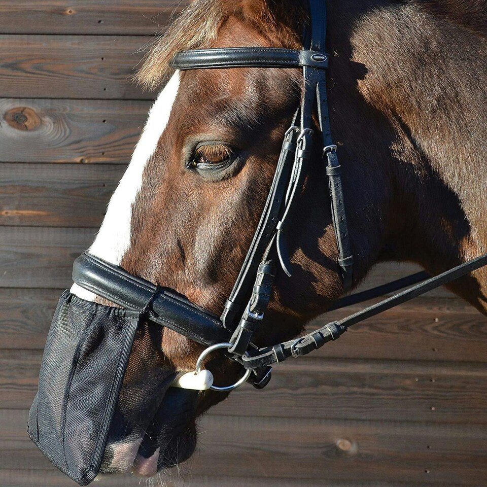 image 1 of Hy Nose Shield - Black - Pony