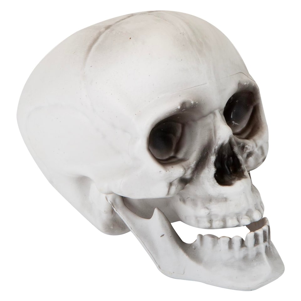 image 1 of vfm-estore Halloween Skull With Moving Jaw Decoration - White