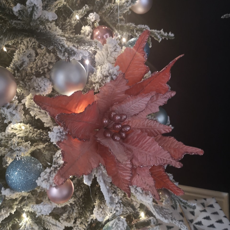 image 1 of 68cm Frosted Light Coral Pink Poinsettia Stem Christmas Decoration