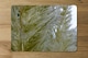 image 2 of autumn pampas grass close up (Placemat & Coaster Set)