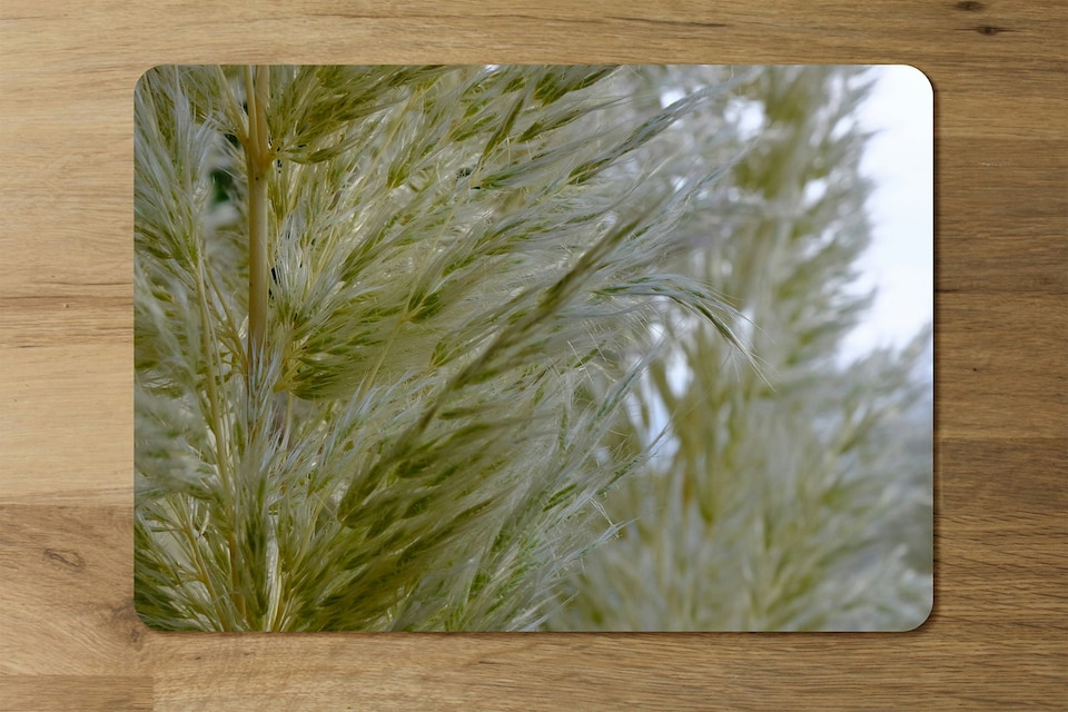 image 1 of autumn pampas grass close up (Placemat & Coaster Set)