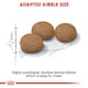 image 8 of Royal Canin Ageing Sterilised 12+ 4KG