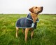 image 5 of Henry Wag Grey Microfibre Drying Coat For Use After Bath Time Or A Muddy Walk, Size Medium 40cm | Grey | Grey | M | 1