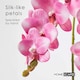 image 3 of Homescapes Pink Orchid 54 cm Phalaenopsis in Ceramic Pot