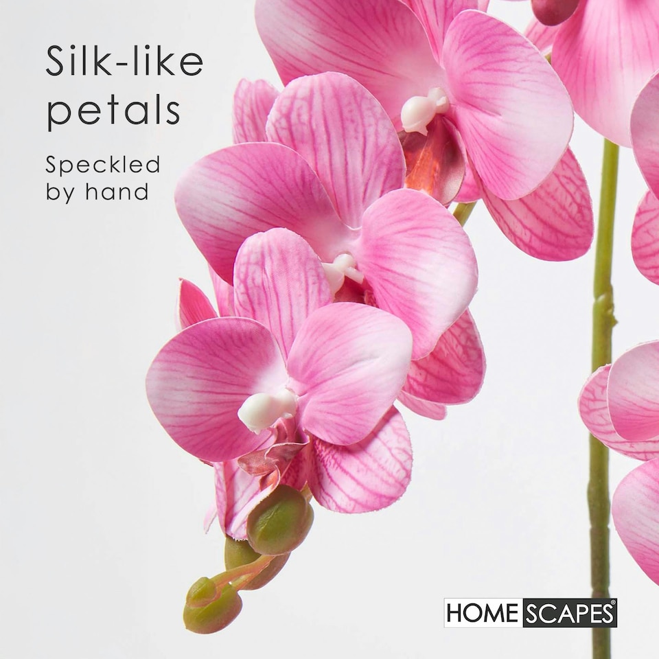 image 1 of Homescapes Pink Orchid 54 cm Phalaenopsis in Ceramic Pot