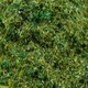 image 3 of Gaugemaster Scenics Forest Floor 2.5mm Static Grass 30g (GM179)