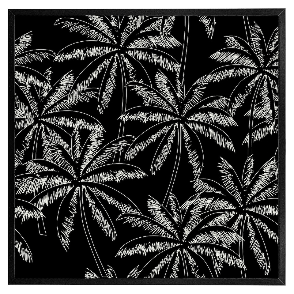 image 1 of White palm trees on black (Picture Frame) White | L