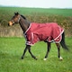 image 1 of Gallop Equestrian Trojan Xtra Lightweight Turnout Red | Size: 6ft 6
Colour: Burgundy