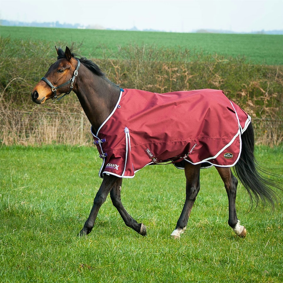 image 1 of Gallop Equestrian Trojan Xtra Lightweight Turnout Red | Size: 6ft 6
Colour: Burgundy