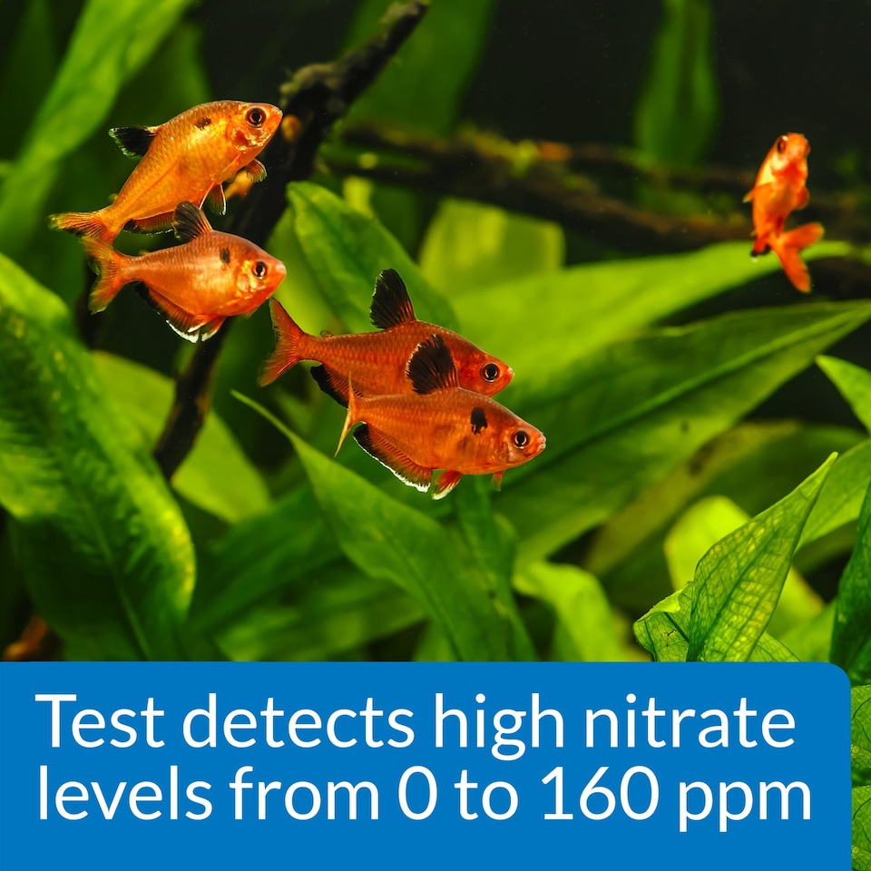 image 1 of API Nitrate Test Kit 90-Test (2-Pack) Aquarium Test Kit Aquarium Test & Water Quality Supplies