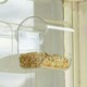 image 3 of Walter Harrisons Wild Bird Window Feeding Station Lightweight Feeder 14cm