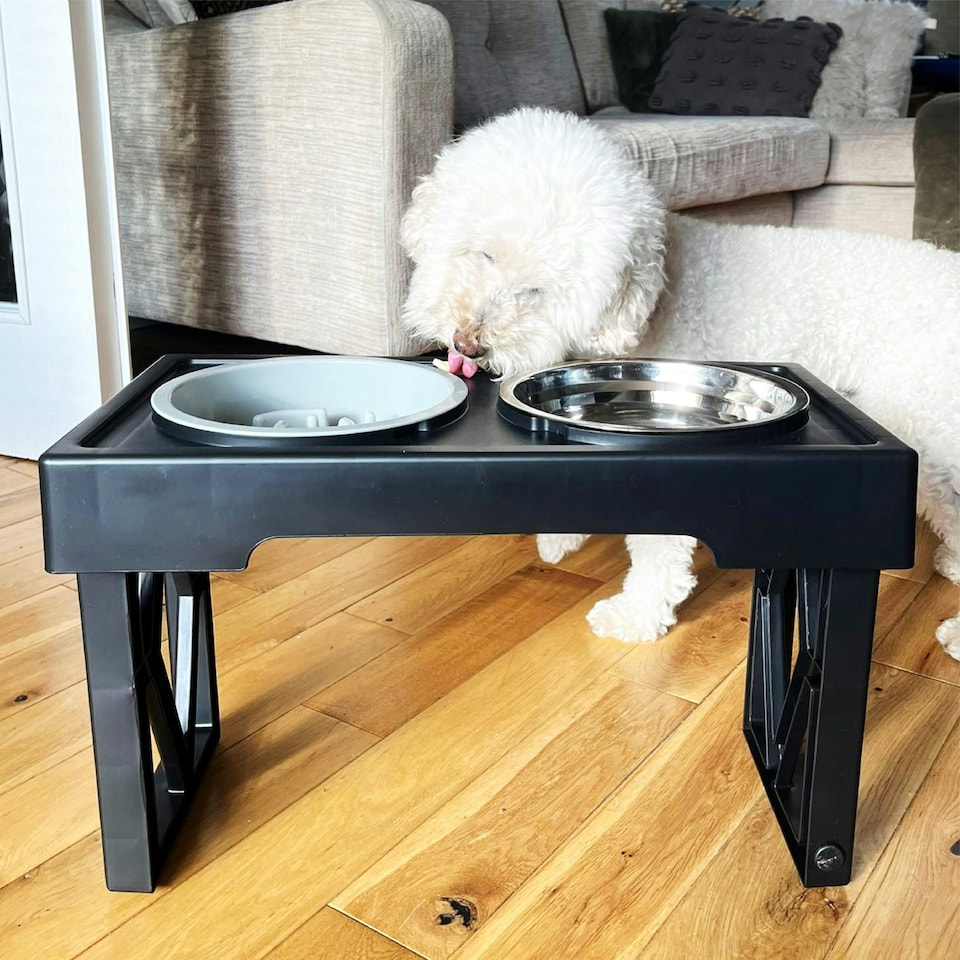 image 1 of HugglePets Adjustable Pet Dog Double Diner Black