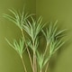 image 3 of Dragon Tree Dracaena Plant 125cm Natural Look Artificial Botanik | Green | 4ft