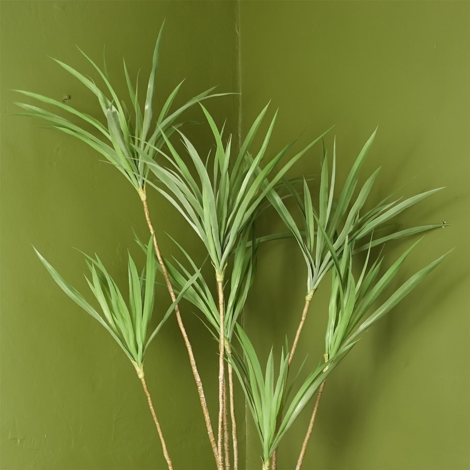 image 1 of Dragon Tree Dracaena Plant 125cm Natural Look Artificial Botanik | Green | 4ft