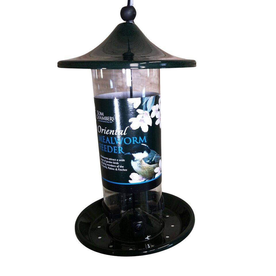 image 1 of Tom Chambers Oriental Stylish Garden Wild Bird Hanging Green Metal Mealworm Feeder