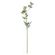 image 2 of Hill Interiors Faux Ammi - Green - One Size