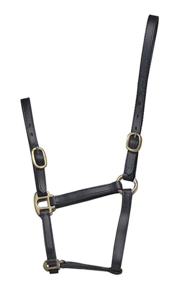 image 1 of Shires Blenheim Adjustable Leather Headcollar | Black | Size: Baby 1
Colour: Black