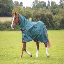 Shires Typhoon Lite Combo Turnout Rug Green | Size: 5ft 0
Colour: Green