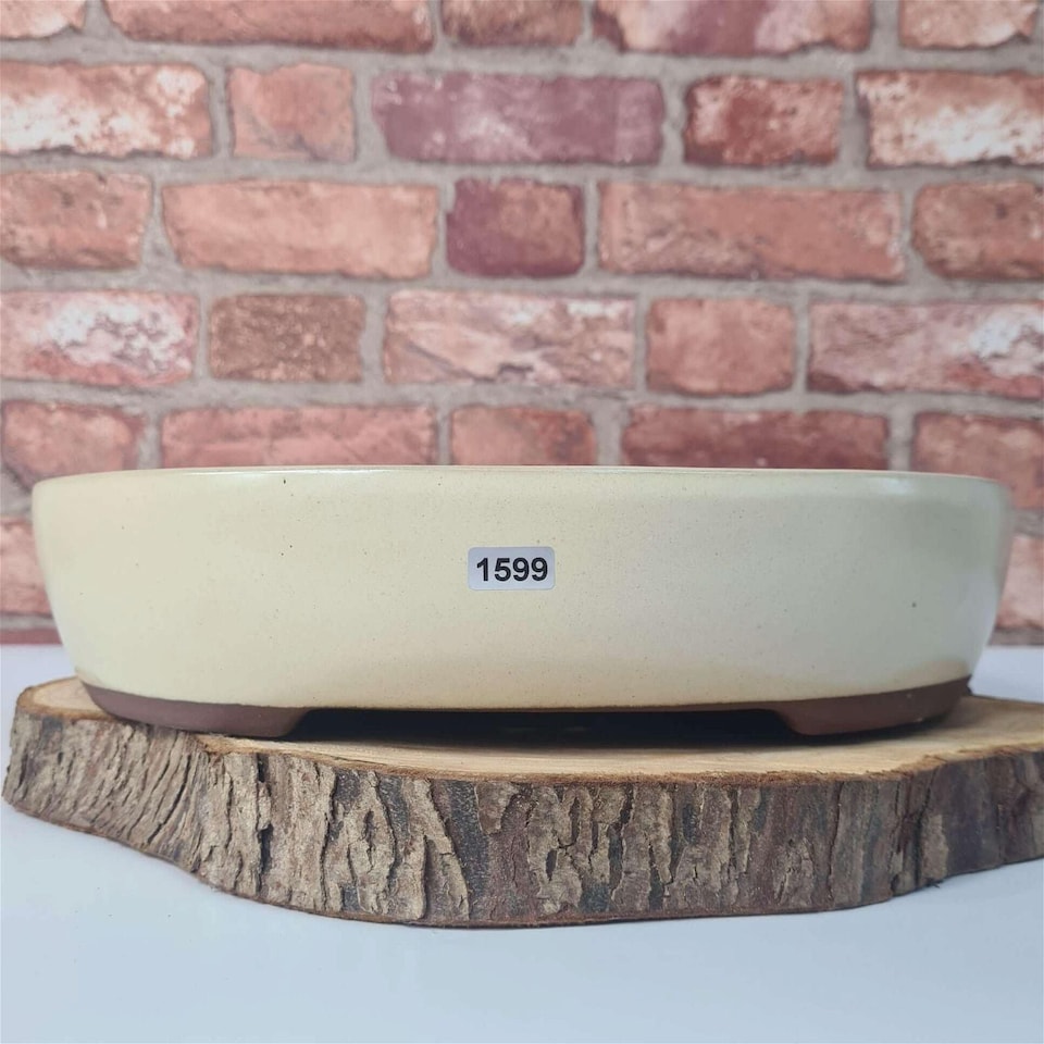 Yorkshire Bonsai 32cm Glazed Bonsai Pot Oval 32cm x 26cm x 7cm White