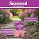 image 4 of Vitax Seaweed Plus with Sequestered Iron 500ml Liquid Fertiliser for Acid-Loving Plants Lawns & Garden Growth Tonic