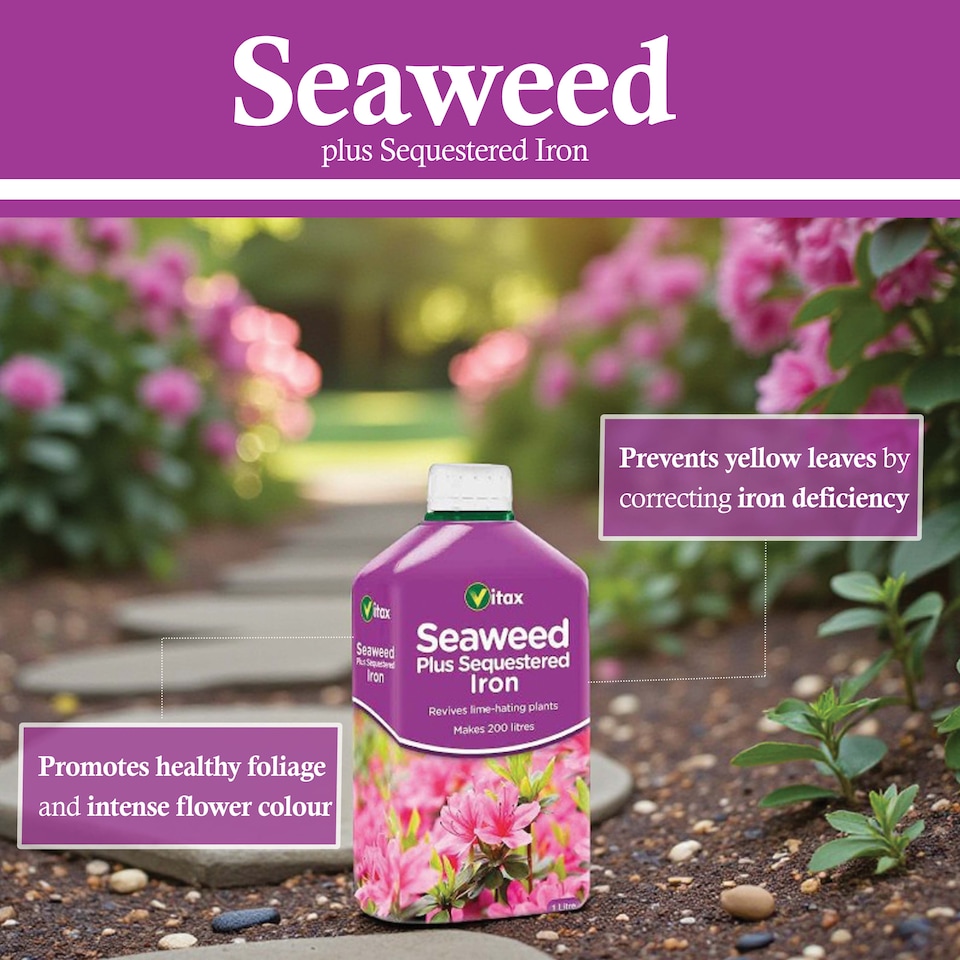 image 1 of Vitax Seaweed Plus with Sequestered Iron 500ml Liquid Fertiliser for Acid-Loving Plants Lawns & Garden Growth Tonic