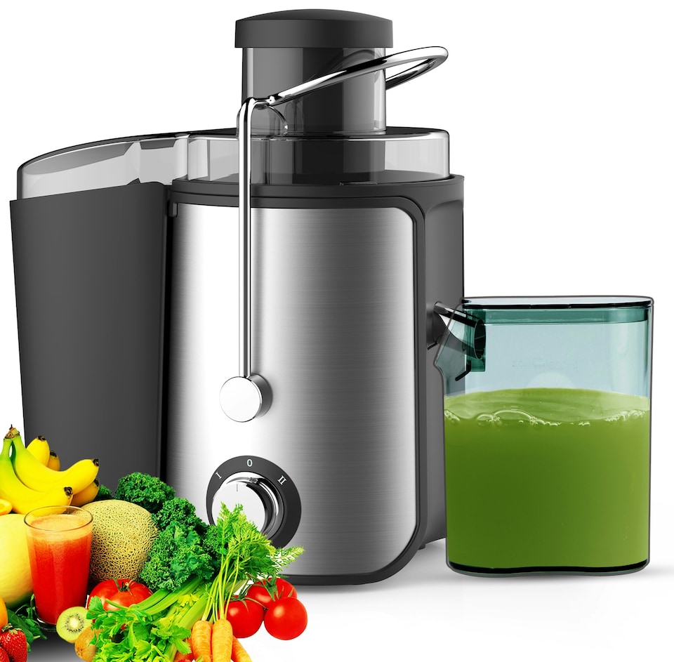 NaturoPure 600W Juicer for Fruits and Vegetables and BPA Free