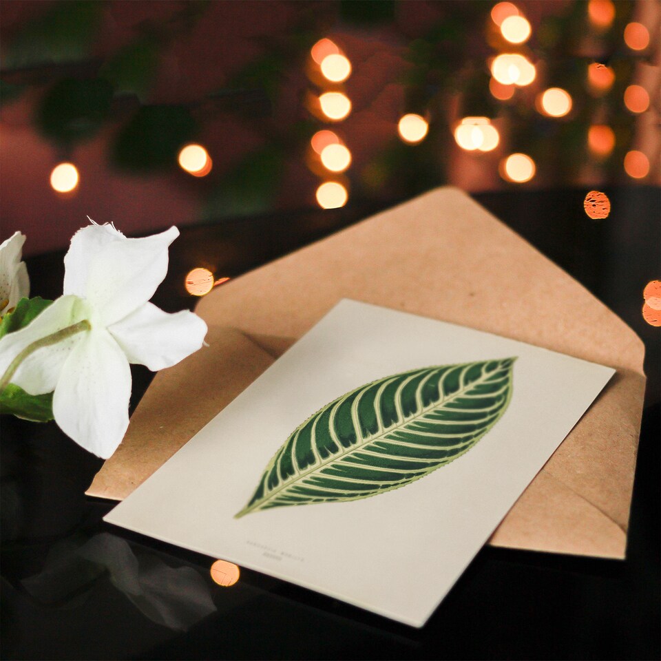 image 1 of Benjamin Fawcett Art Card Vintage Botanical Tiger Plant Leaf
