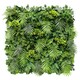 image 1 of True Products Premium Artificial Living Wall Green Plant Panel 1m x 1m - Eden