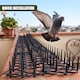 image 5 of GEEZY 6 Piece Animal Repellent Mats, Plastic, Black, 49 x 14 cm