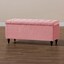 Pink Plush Velvet - Selected