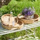 image 2 of Water Hyacinth Tray