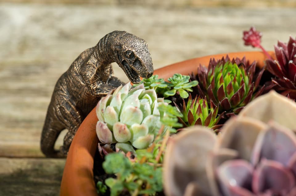 image 1 of Velociraptor Plant Pot Hanger - L10.5 x W4.5 x H5 cm | Bronze