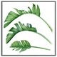 image 3 of Triple botanical (Picture Frame) Black | M