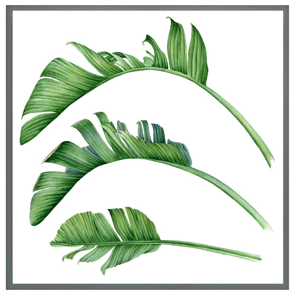 image 1 of Triple botanical (Picture Frame) Black | M